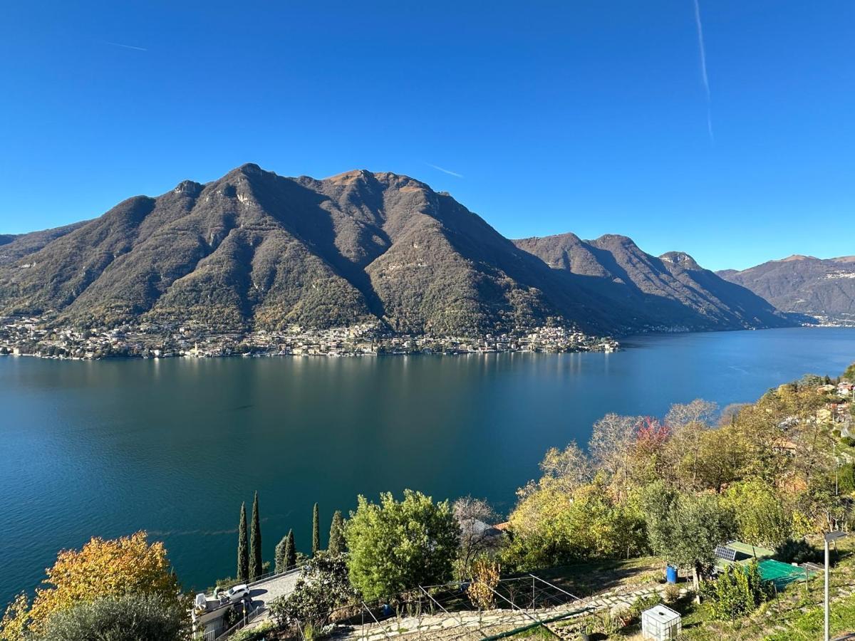 La Casa Del Mastro - Como Lake Pognana Lario Bagian luar foto